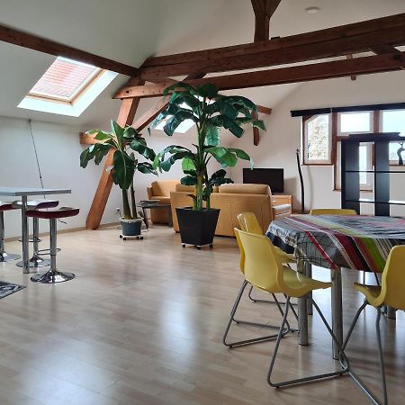 Vila Grange Des Arts Saint-Nabor Exteriér fotografie