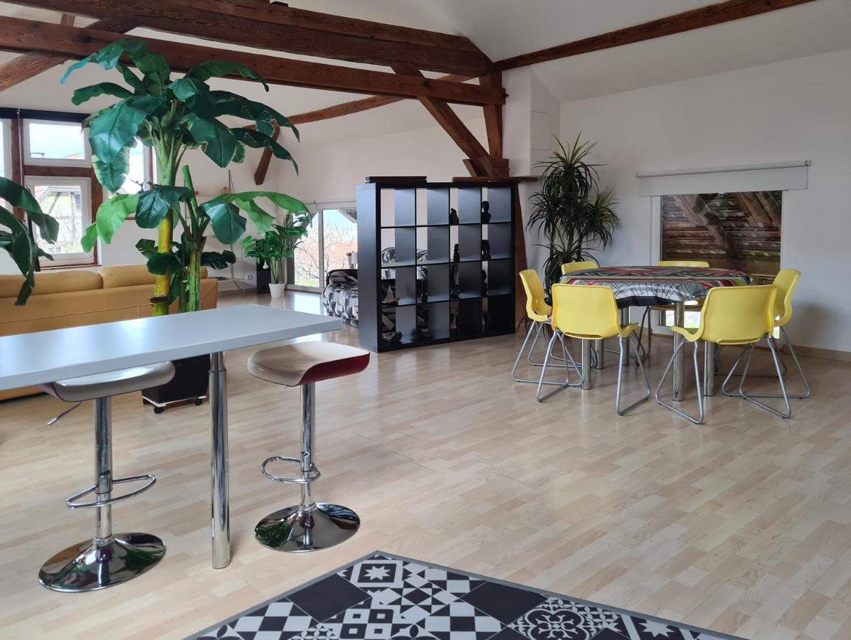 Vila Grange Des Arts Saint-Nabor Exteriér fotografie