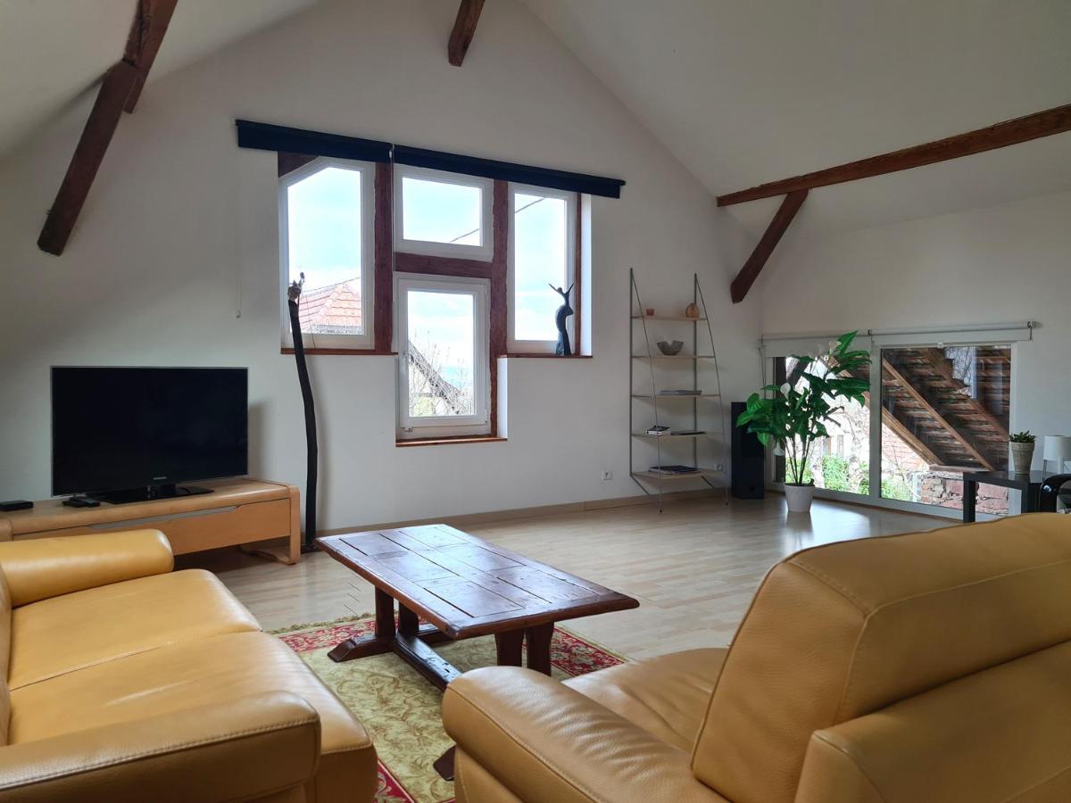 Vila Grange Des Arts Saint-Nabor Exteriér fotografie