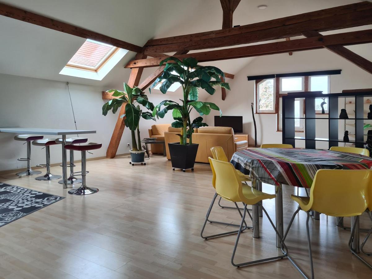 Vila Grange Des Arts Saint-Nabor Exteriér fotografie