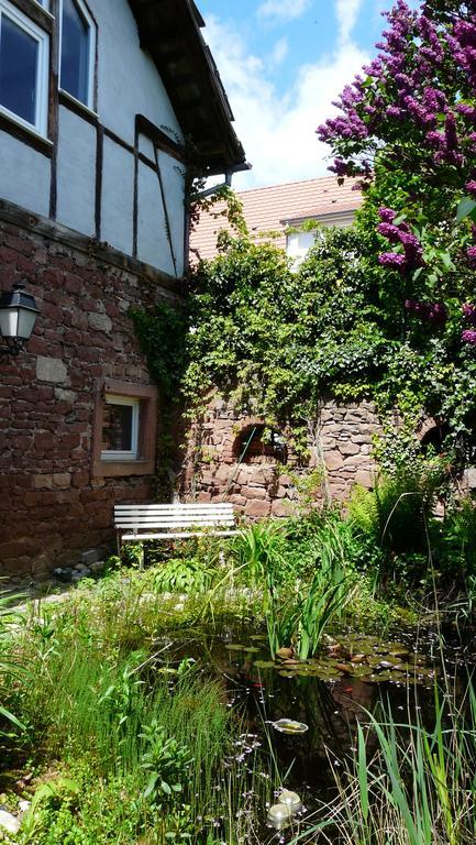 Vila Grange Des Arts Saint-Nabor Exteriér fotografie