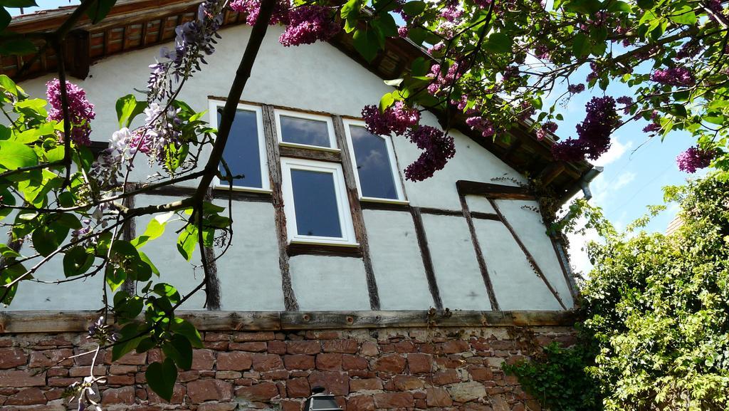Vila Grange Des Arts Saint-Nabor Exteriér fotografie